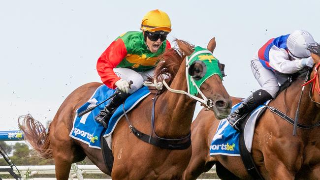 Caitlin Tootell guides Stormsarrived to victory in the Strathalbyn Cup on Sunday. Picture: Makoto Kaneko