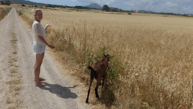 An unusual holiday activity — Stephanie walking a goat in Spain.