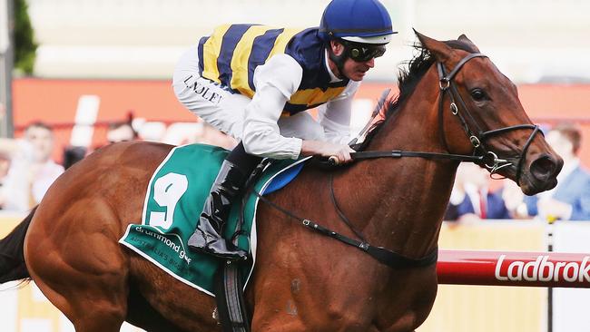 Aloisia is an odds-on favourite for Thursday’s Kennedy Oaks at Flemington.