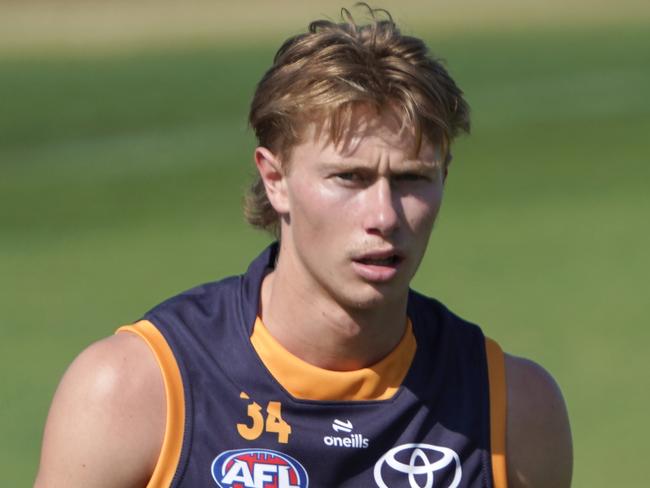 Crows Training at West Lakes - New recruit, Sid Draper. 25 November 2024. Picture: Dean Martin