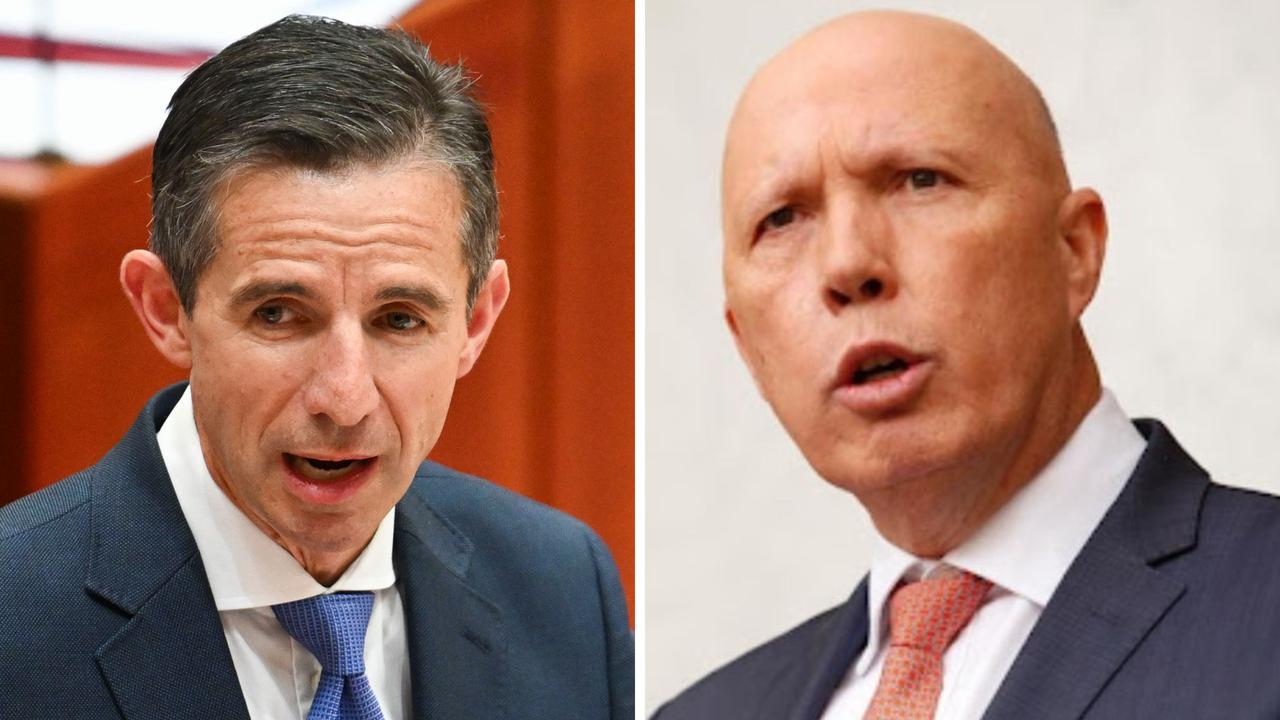 ‘Broken’: Ex-senior Lib unleashes
