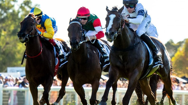 Overpass (right) clears away to defend his The Quokka crown. Picture: Western Racepix.