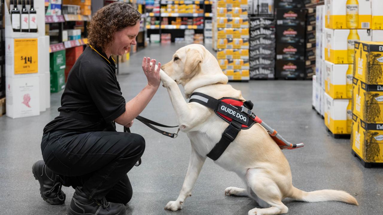 Beth McFarlane is sight-impaired and works at Coles Lutwyche in QLD with the support of her guide dog Pookie. Coles is ranked third overall in the Access and Inclusion Index 2021. Picture: Supplied