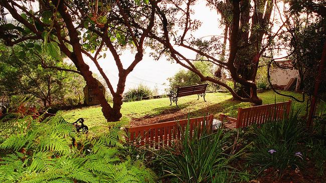 The Bible Garden at Palm Beach is planted with close to 100 species mentioned in the Old and New Testaments: Picture: Martin Lange