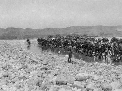 Australian Light Horsemen watering their horses at a river crossing which was one of the watering places for the Beersheba action. Source: Australian War Memorial