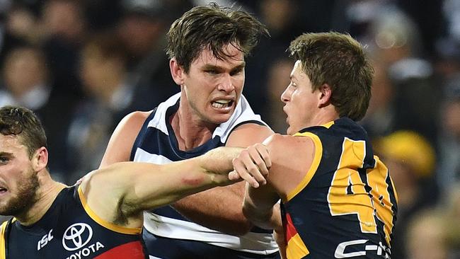 Tom Hawkins and Matt Crouch are involved in a push and shove. Picture: AAP