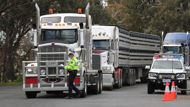 A truck is processed at the Bordertown checkpoint. Picture: Tait Schmaal