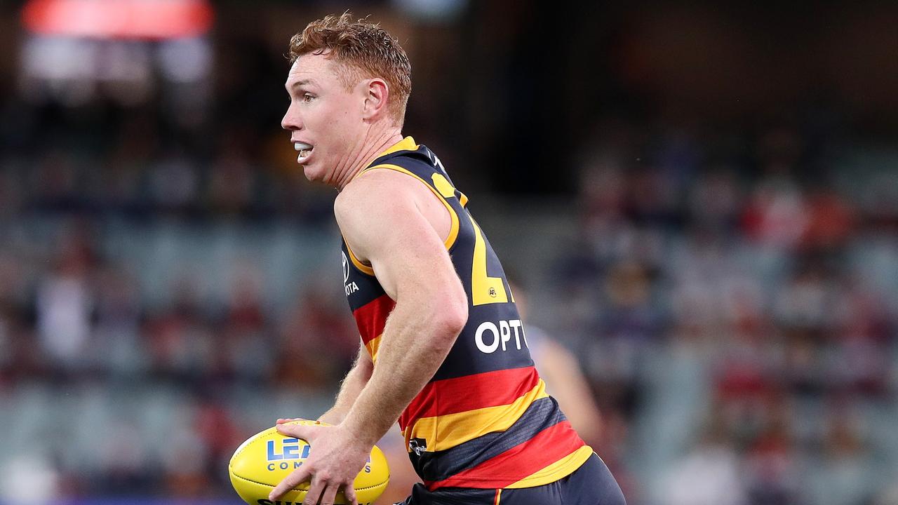 Tom Lynch could be just want is required at Arden Street for the next two seasons.