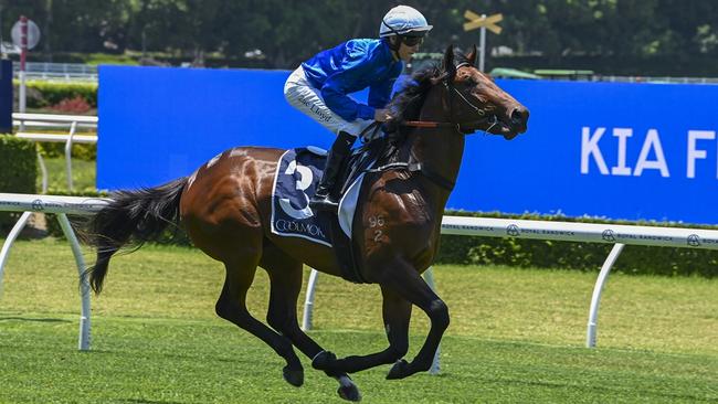 The James Cummings-trained Chergui will contest the Listed Lonhro Plate at Royal Randwick on Saturday. Picture: Bradley Photos