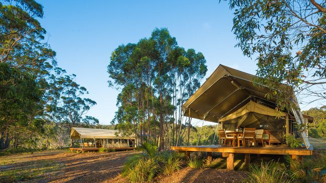 Tanja Lagoon Camp is offering a 20 per cent discount for locals seeking a staycation of a lifetime.