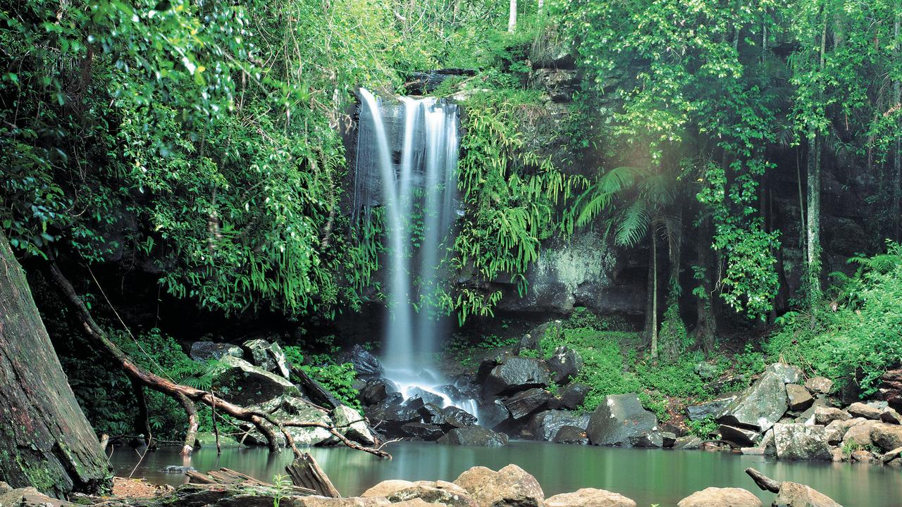 The Gold Coast hinterland is full of hidden treasures.