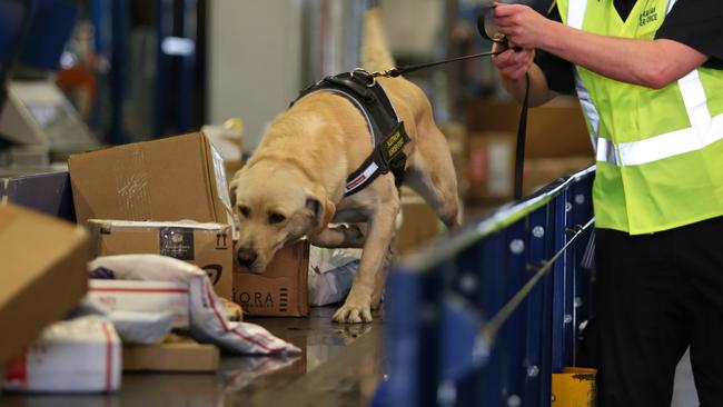 A 38-year-old man has been jailed over his role in a failed plot to import 300kg of cocaine into Melbourne after a sniffer dog detected a tiny trace of the drug.