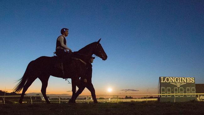 Hugh Bowman riding trackwork Winx. (Photo by Mark Evans/Getty Images)