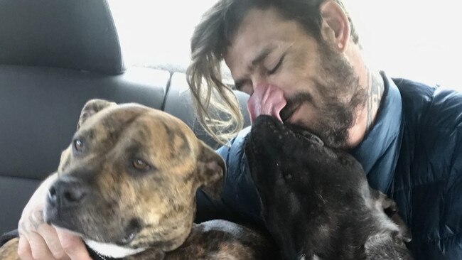 Travis rescued many dogs who he leaves behind.