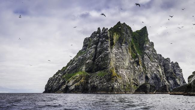 Scientists have detected bird flu in Antarctica for the first time. Picture: UK Nature Photo – iStock