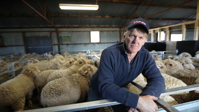 Tony Holt will receive half the income as last year from his Merino fleeces. Picture: Alex Coppel