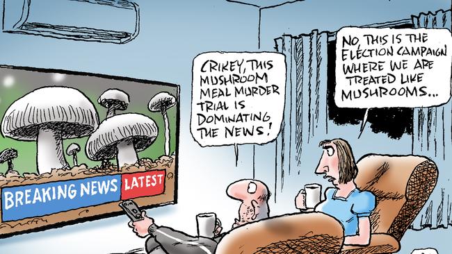 Mark Knight cartoon on election campaign and mushroom murder trial