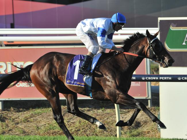 Paul Harvey savours his first Karrakatta Plate success as Lucky Street leaves them behind in the Ascot sprint. Picture: Graeme Collopy