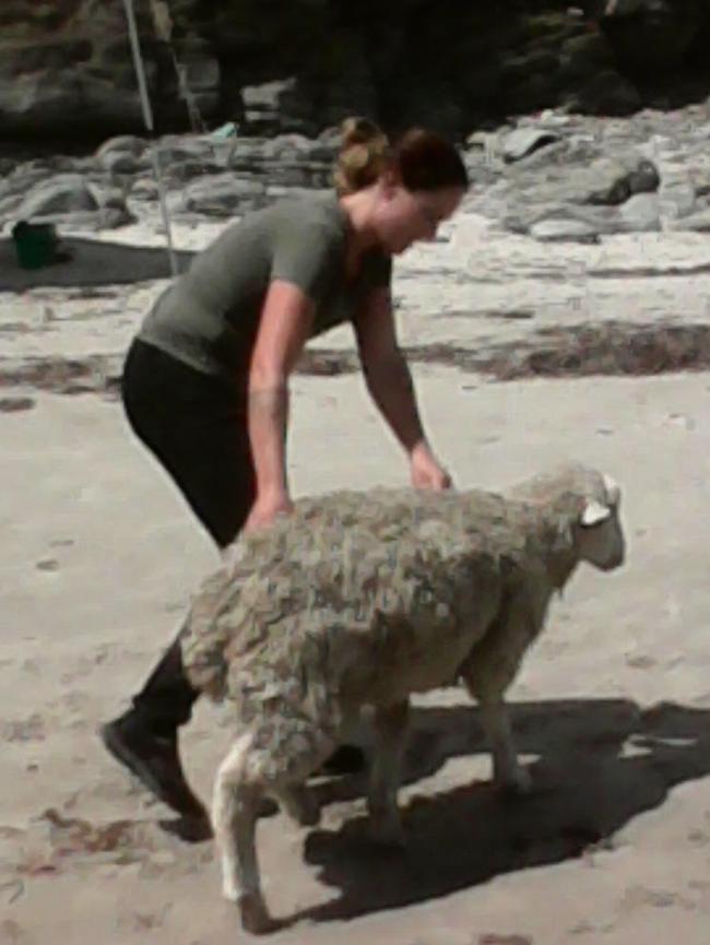 A local helps an exhausted Dolly. Picture: Gregory Woods.