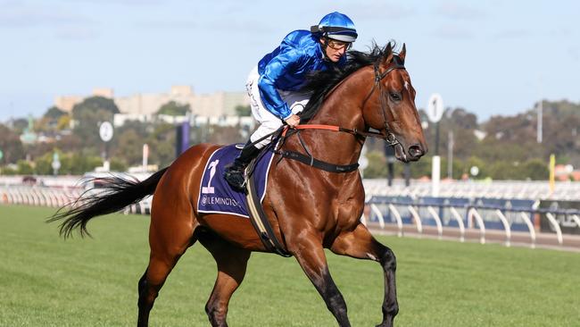 Vilana has become a serious Stradbroke Handicap force following his Moreton Cup victory. Picture: George Sal — Racing Photos via Getty Images.