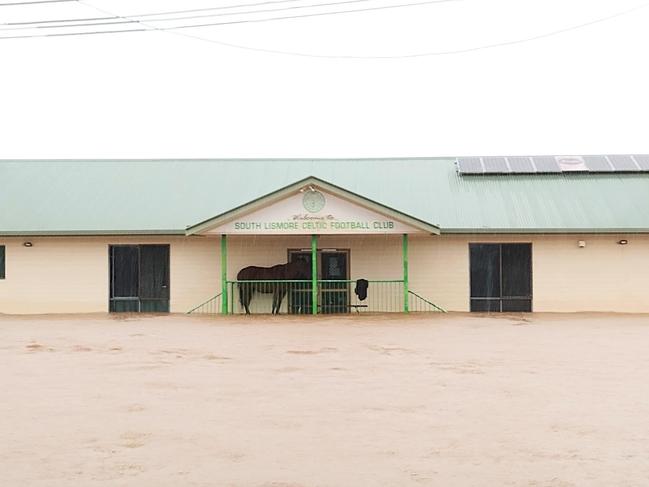 A horse seeks refuge on the veranda (second level) of South Lismore FC’s clubhouse. Picture: Football Far North Coast.