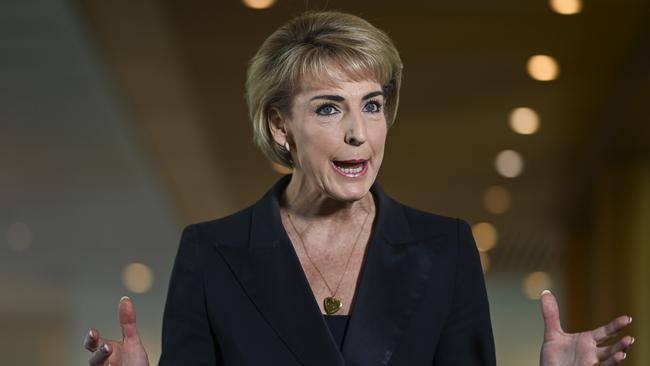 Opposition legal affairs spokeswoman Michaelia Cash. Picture: NCA NewsWire / Martin Ollman