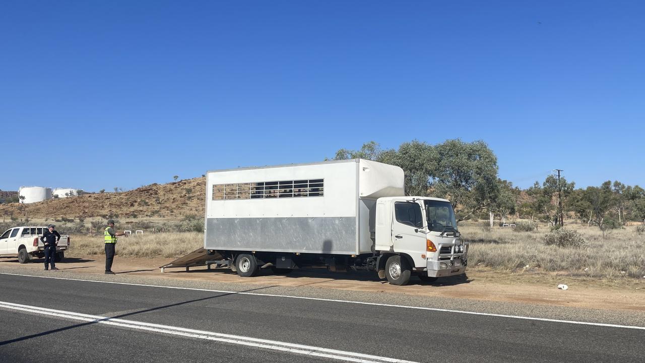 A wild Red Centre: Police and rangers wrangle loose horses