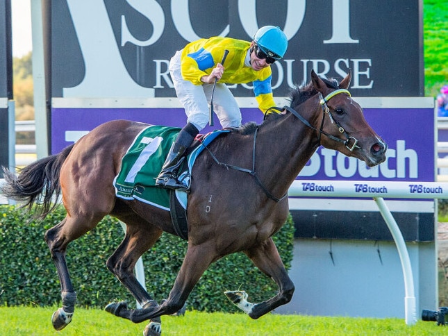 Super Smink will represent Ladbrokes in The Quokka. Picture: X