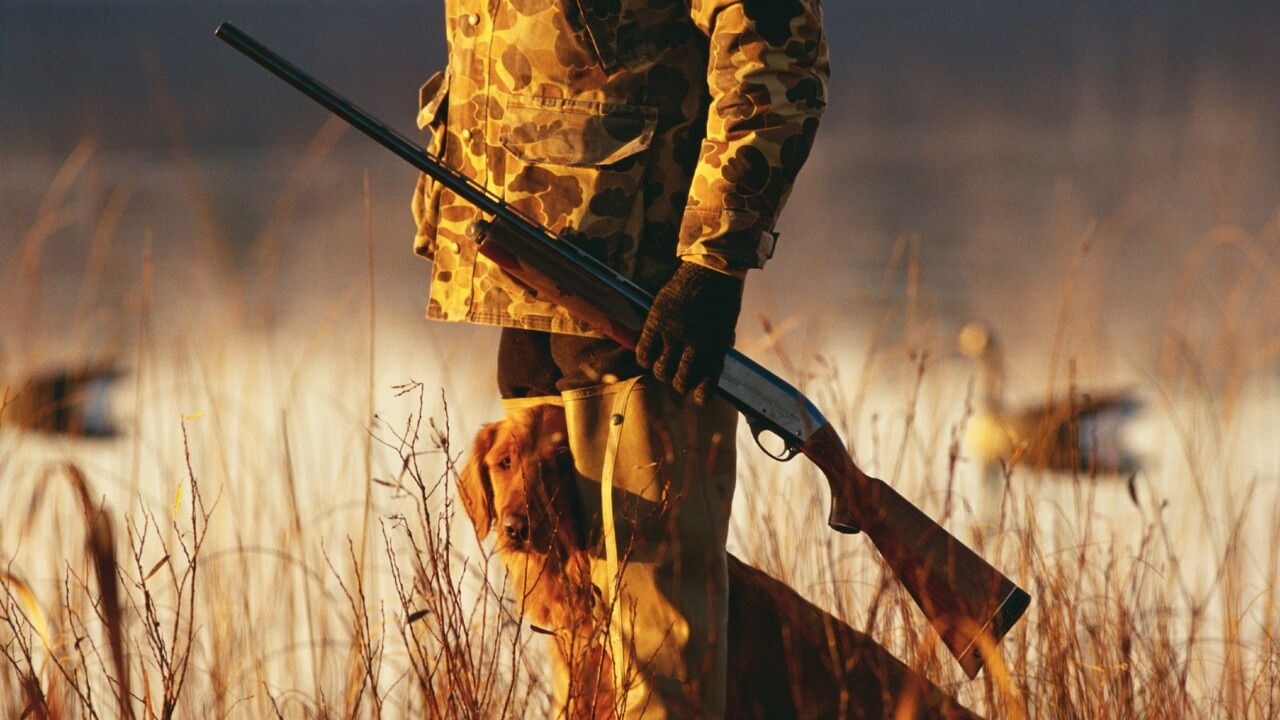 Duck hunting to remain legal in Victoria