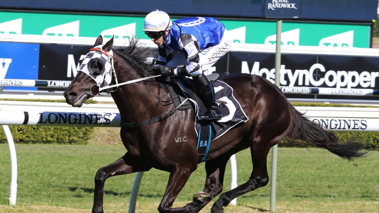 Our Candidate will be improved by his second-up run at Randwick on Saturday according to Kris Lees. Picture: Grant Guy