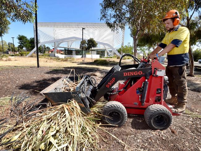 Arborist Joe Benic gets to work on the Dingo. Picture: Jay Town