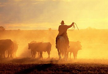 Wild west ... one hundred years ago, Alfred Canning opened up the Canning Stock Route  through four deserts in the northeast of Western Australia  to bring cattle to the south of the state / Greg Evans