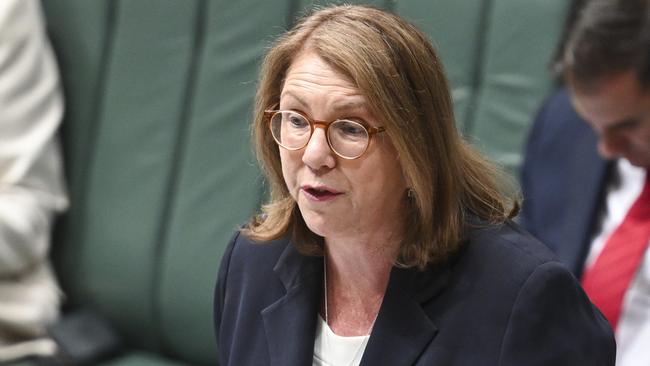 Federal Infrastructure Minister Catherine King. Picture: NCA NewsWire / Martin Ollman