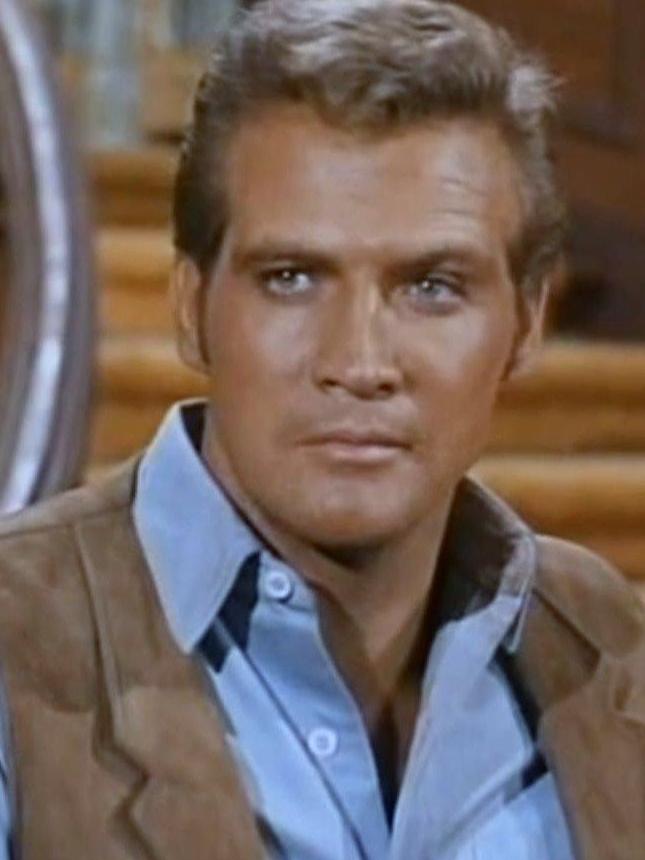 Lee Majors played the main character, Colt Seavers, in The Fall Guy series.