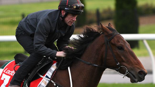 Can Mr Quickie bounce back to his best form in the Caulfield Cup? Picture: AAP