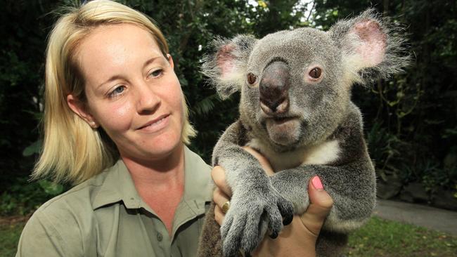 Former Home Of Cairns Tropical Zoo Returns To The Market 