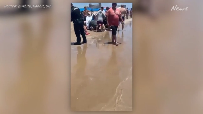 Woman suffers ‘a severe bite to the leg’ during horror Texas beach ...