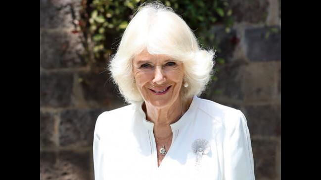 Queen Camilla Taking A Week Off | Daily Telegraph