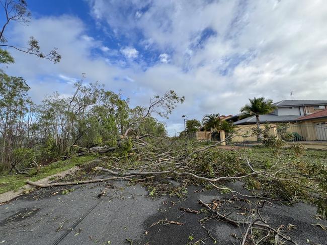 Trees across a street in Helensvale early on Boxing Day. Picture: Keith Woods.