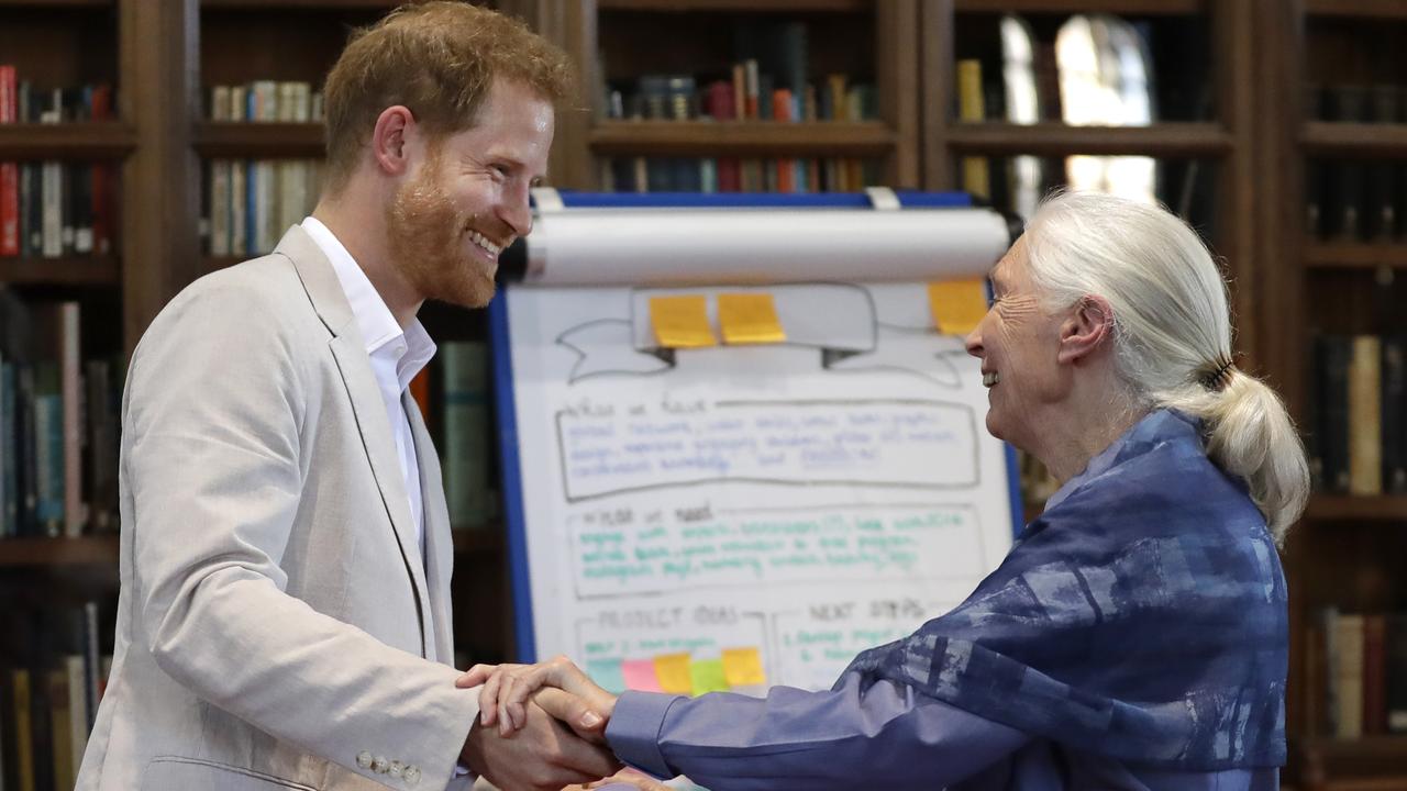 The Duke of Sussex and Dr Jane Gooddall. Picture: Kirsty Wigglesworth - WPA Pool/Getty Images