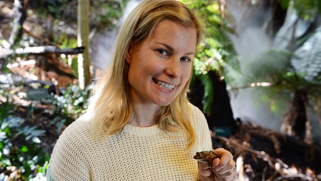 PhD student Claire Keely holding a growling grass frog. Picture: Kris Reichl