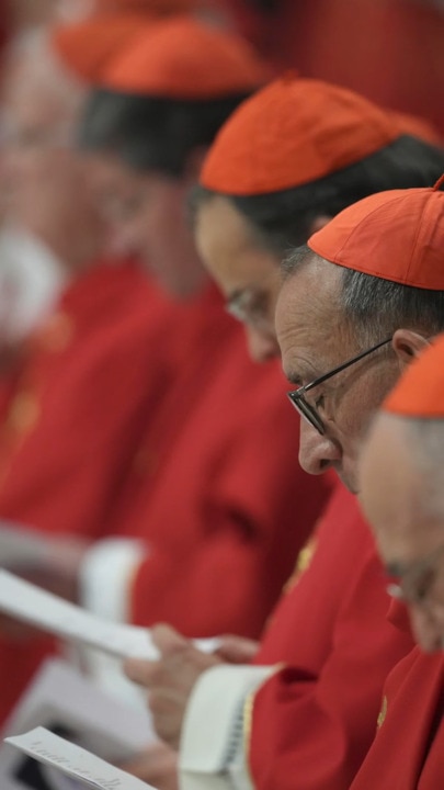 Who will be the next Pope? Here are some top contenders