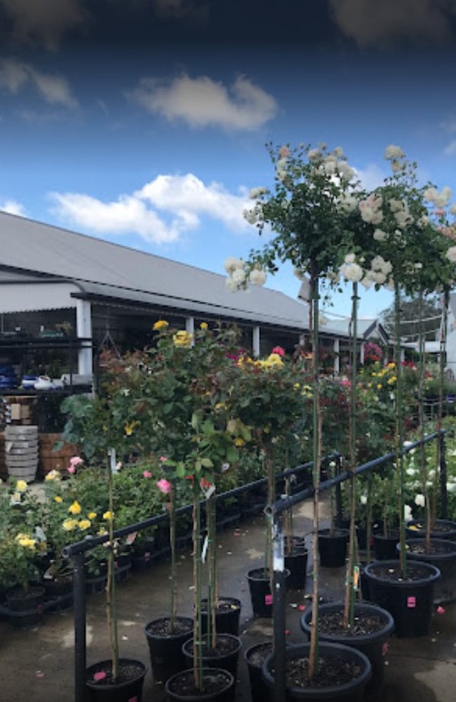 Ross Evans Garden Centre before the deluge.