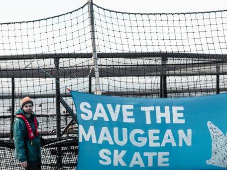 Bob Brown Foundation activists putting a banner up on a salmon pen in Macquarie Harbour. Picture: Supplied.