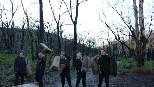 Bittersweet celebration by University of Adelaide’s Bandi Bunch on packing up the last of 16 sites surveyed in annual mammal monitoring across the Adelaide Hills. Of 1080 trap checks within the Cherry Gardens firescar, there was only one bandicoot capture. L-R: Bandi Bunch members Nicole Long, Jasmin Packer, Spike Barrow, Hayley Jose, and Eilish Thomas. Picture: Ori Packer