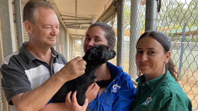 Michael Jarman, Kirra Larkin and Sam Murray at Dubbo CIty Animal Shelter. Picture: Ryan Young