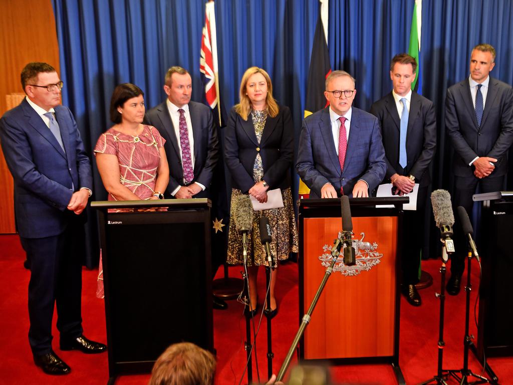 Albanese bid to rein in runaway disability scheme
