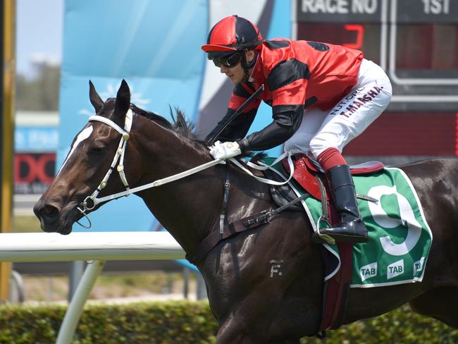 Winner of race 2 She's A Tigress ridden by Taylor Marshall at the Gold Coast Turf Club. (Photo/Steve Holland)