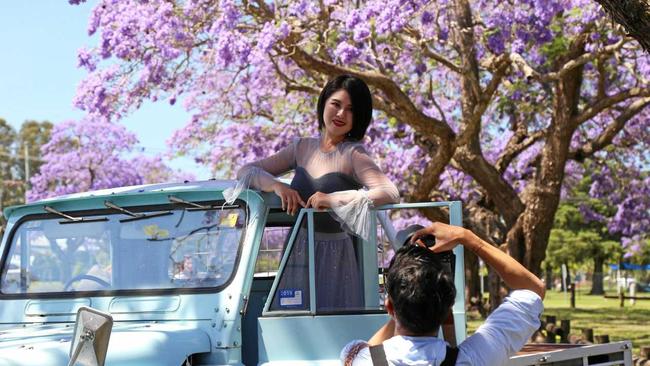 Tourists were drawn to Michael Hill's 1978 Nissan Patrol G60 Ute during photo shoots at Grafton's See Park on Jacaranda Thursday. Picture: Erin Brady/CVC