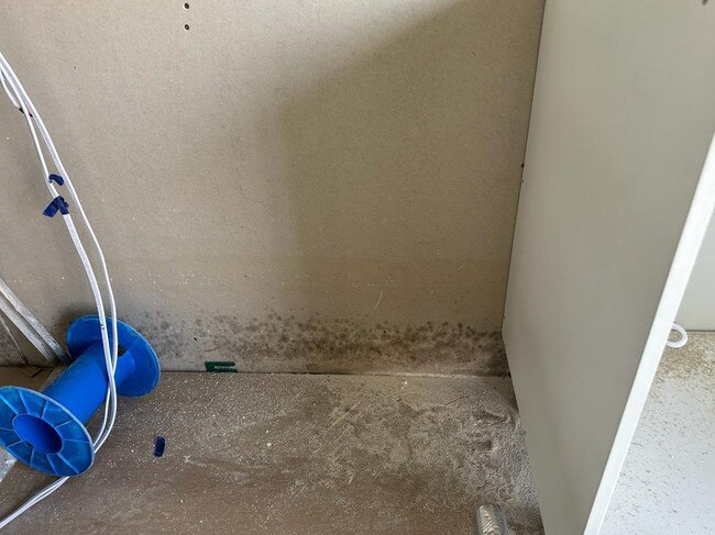 Mould discovered from the rental commissioner's first unannounced visit to a new construction in Sydney last week.